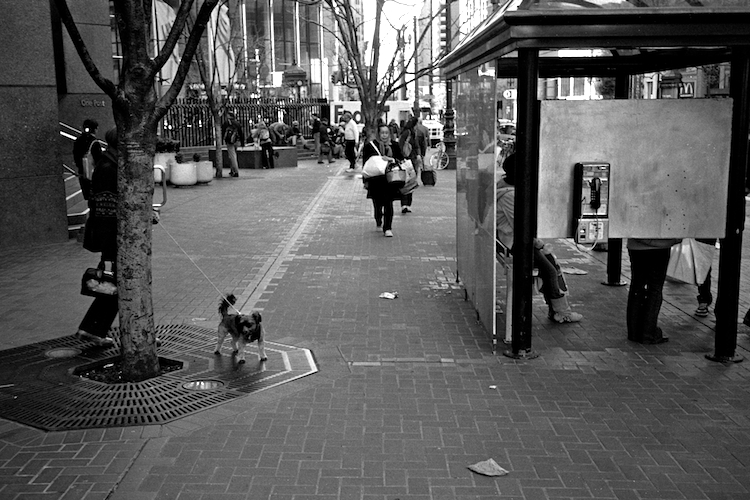135_mar2009_roll05_008.jpg